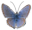 Butterfly ClipArt