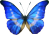 Butterfly ClipArt