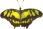 butterfly clipart