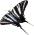 butterfly clipart