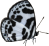 butterfly clipart