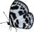 butterfly clipart