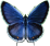 Butterfly ClipArt