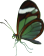 butterfly clipart