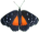 butterfly clipart