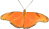 butterfly clipart