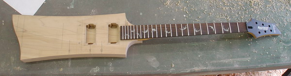 picture of my guitar project